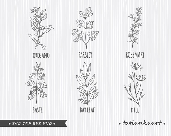 Download Herb Svg Bundle Kitchen Svg Leaves Svg Weed Svg Garden Etsy