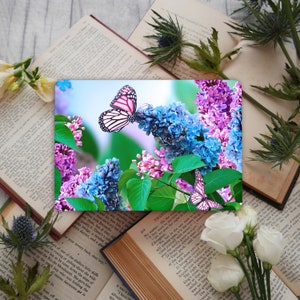 Butterfly Laptop Protective Skin Girl - Universal Notebook Vinyl Wrap - Custom Size Laptop Skins Peel & Stick -  Laptop GD185
