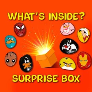 9 Piece Mystery Cartoon Stone Magnet Set, Hand Painted Pebble Art Gift Box