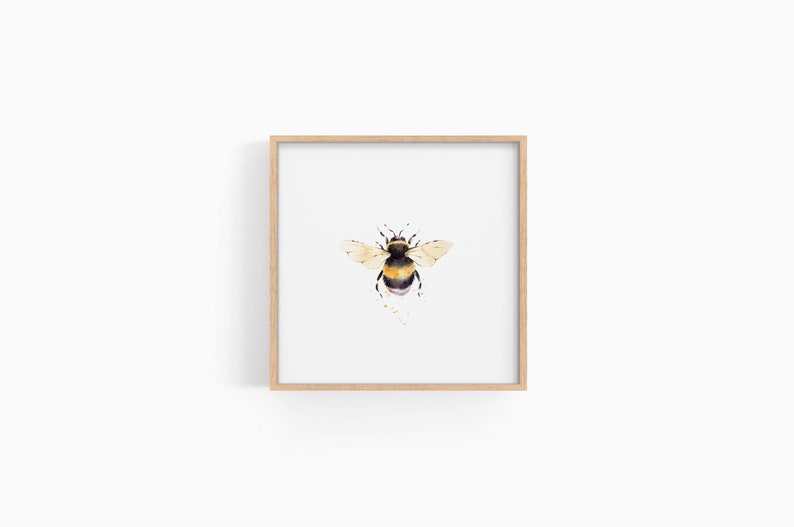 Puede incluir: Una pintura de acuarela enmarcada de un abejorro en vuelo. La abeja es amarilla y negra con alas transl&uacute;cidas. El fondo es blanco.