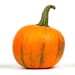 TheRustyPumpkins