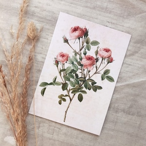 Botanical card / botanic card