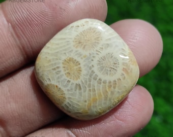 Pode incluir: Uma pedra preciosa polida, de forma quadrada, com um padrão único de coral fossilizado circular. A pedra apresenta uma paleta de cores creme e bege, com detalhes intrincados. A pedra preciosa é segurada em uma mão, com o texto "RBGEMSTONE" visível.