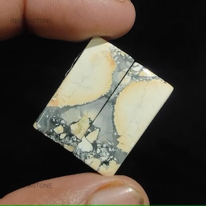 Könnte beinhalten: Zwei rechteckige Edelsteine mit einem cremefarbenen und grauen Muster. Die Steine werden zwischen den Fingern vor einem schwarzen Hintergrund gehalten. Die Edelsteine haben ein einzigartiges marmoriertes Aussehen mit Bereichen in Creme, Grau und Schwarz.