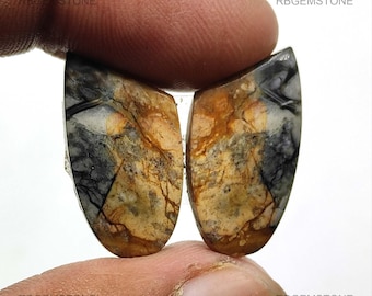 May include: Two polished gemstone cabochons with a unique pattern. The stones feature a mix of colors, including tan, gray, and black, with intricate veining. The cabochons are held between fingers.