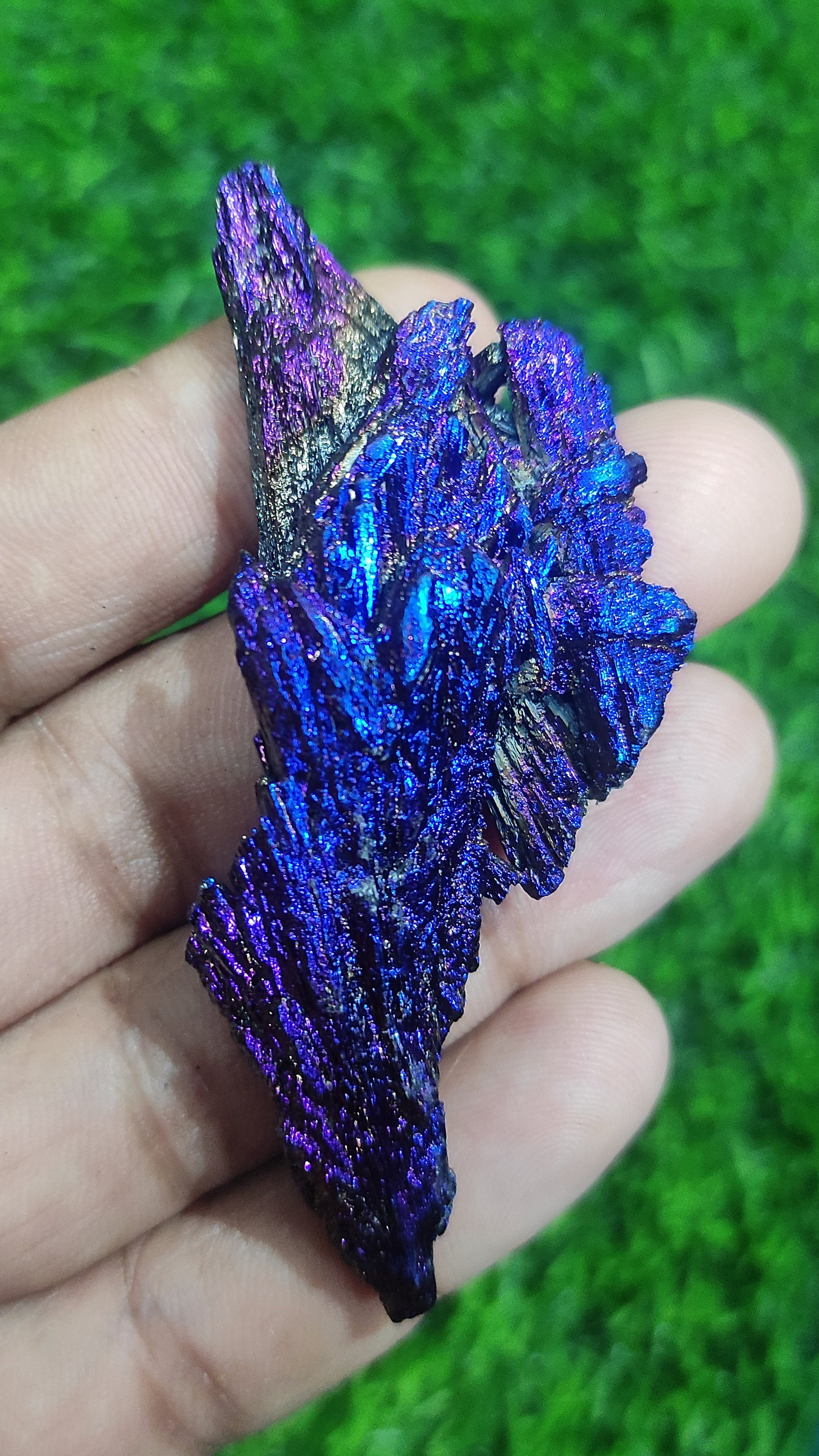Aura Rainbow Kyanite 3 Inch Purple Magenta Rainbow Titanium Etsy