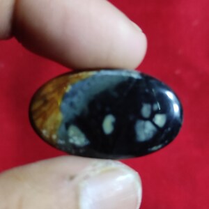 Puede incluir: Una piedra lisa de forma ovalada con un patr&oacute;n negro, marr&oacute;n y blanco. La piedra tiene un acabado brillante.