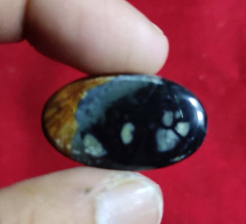 Puede incluir: Una piedra lisa de forma ovalada con un patr&oacute;n negro, marr&oacute;n y blanco. La piedra tiene un acabado brillante.