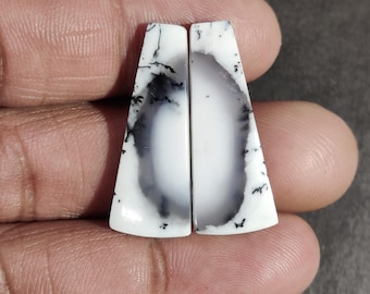 Dendritic Opal Cabochon Pair: White Mexican Pair Fancy Stone Pair, Designer Gemstone For Earrings Making