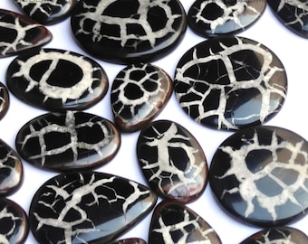 May include: A collection of 14 black and white fossilized stone cabochons with a dendritic pattern. The stones are various shapes and sizes, with some being oval, teardrop, and round.