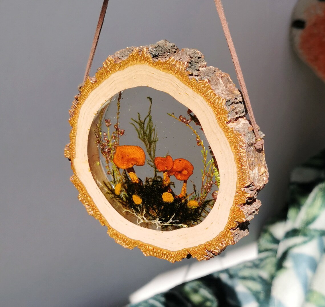 Mushroom Decor Resin Art Mushroom Art Pressed Mushroom Wall Etsy