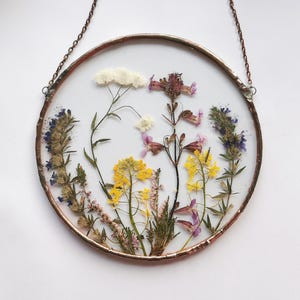 Gerahmte Gepresste Blume Buntglas Rahmen Gepresste Pflanze Wand Dekor Botanische Hänge Rahmen Getrocknete Blume Glas Kunstwerk