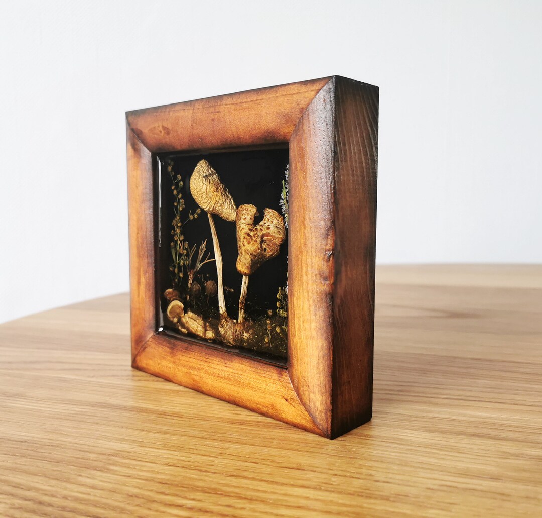 Mushroom Wall Decor Mushroom Art Resin Mushroom Resin Art Preserved Mushrooms Wall Hanging Real