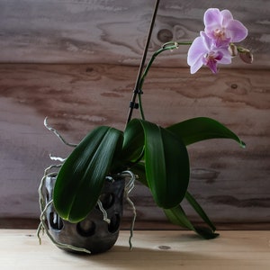 Handmade Black Ceramic Orchid Planter. Nordic Minimalist Pottery, 5 Inches