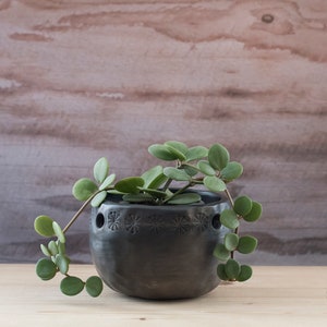Op de afbeelding: Een donkergrijze keramische plantenpot met een ronde vorm en een band met kleine, gestempelde stervormige patronen bij de rand. Een hangende groene vetplant met ronde bladeren groeit uit de pot. De tekst Clay & Wood DESIGN is zichtbaar.