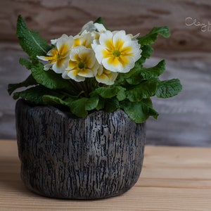 Decorative Handmade Ceramic Pot for Indoor Plants Black Pottery Planter Unglazed Rough Textured Rustic Nordic Minimalist Gift for Mom