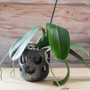 May include: A dark gray ceramic orchid pot with circular cutouts, holding an orchid plant. The plant has long, green leaves and exposed roots. The background is a light wood surface and a wooden wall. The text "Clay & Wood Design" is visible.