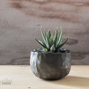 Può includere: Un piccolo vaso in ceramica grigio scuro e strutturato con una pianta succulenta. La pianta ha foglie verdi con macchie bianche. Il vaso è appoggiato su una superficie di legno chiaro. Lo sfondo è in legno marrone chiaro.