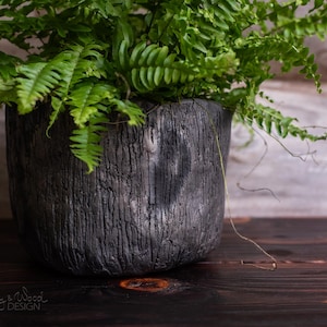 May include: A dark gray cylindrical planter with a textured surface resembling tree bark, containing a vibrant green fern plant. The base of the planter features the embossed text Clay & Wood DESIGN in the lower left corner of the image frame.