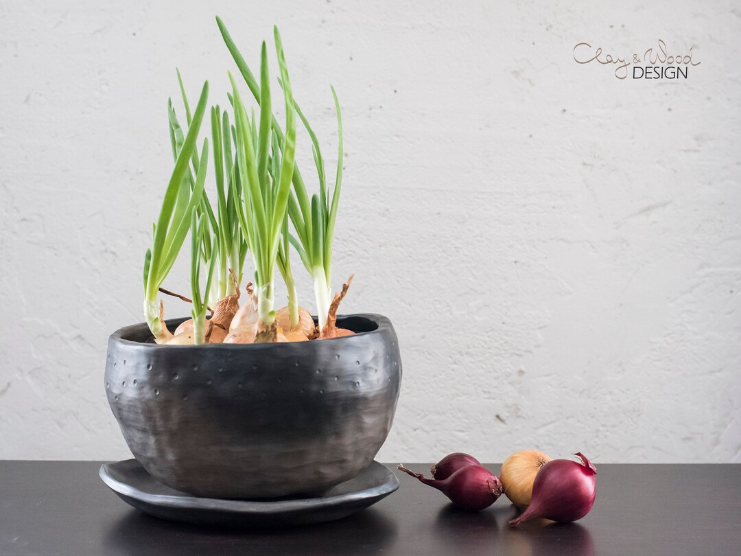 Handmade Black Pottery Pot for Plants. Ceramic Planter With Water