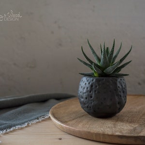 Puede incluir: Una pequeña planta suculenta en una maceta de cerámica negra texturizada. La maceta está sobre una bandeja redonda de madera. La planta tiene hojas verdes con manchas blancas. Las palabras "Clay & Wood DESIGN" están en la esquina superior izquierda.