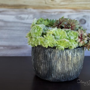 Handmade Pot for Plants. Decorative Black Ceramic Planter. Unglazed Textured Rustic Minimalist