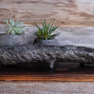 Op de afbeelding: Een donkergrijze, getextureerde, lange plantenbak met één poot, met een vetplant. Twee kleinere grijze plantenbakken met vetplanten staan erachter. De achtergrond is een houten oppervlak. De tekst "Clay & Wood Design" staat rechtsboven.