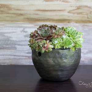 Könnte beinhalten: Ein dunkelgrauer Keramiktopf gefüllt mit einer Vielzahl von grünen und rot-violetten Sukkulenten. Der Topf hat eine runde Form mit geätzten floralen Designs und zwei kleinen Löchern. Der Hintergrund ist eine helle Holzpaneelwand.