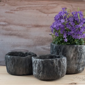 Può includere: Tre vasi in ceramica grigio scuro con una finitura strutturata che ricorda la corteccia degli alberi. Il vaso più grande contiene una pianta fiorita viola. I vasi, di diverse dimensioni, sono appoggiati su una superficie di legno. Il design ha un'estetica rustica e naturale.