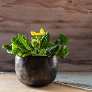 Può includere: Un vaso rotondo in ceramica scura con una superficie strutturata e disegni a forma di sole in rilievo contiene una vivace pianta verde con fiori gialli. Il vaso è appoggiato su una superficie di legno, con uno sfondo di legno.