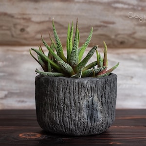 Vaso per cactus fatto a mano, con texture ruvida nera. Un tocco di modernità per la casa. Minimalista, in stile Wabi Sabi.