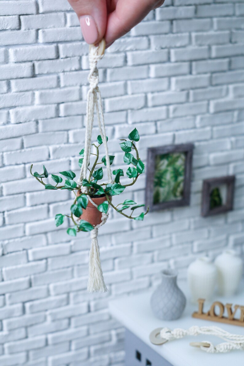 Dollhouse Macrame Plant Holder With a Miniature Climbing Plant Etsy