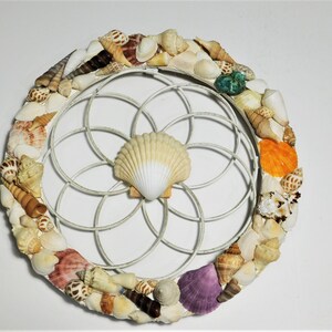 Cirkel van 10,5 inch, woondecoraties, muurdecoratie, schelpen, 8 inch metalen ontwerp, #8063