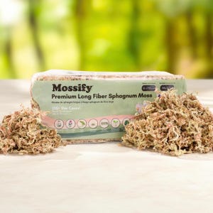 Premium Natural Sphagnum Moss Mix - Potting Mix Enhancer - Ideal for Reptiles, Orchids & Terrariums - Trusted by Indoor Gardeners