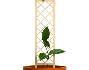 Cross-Hatch Wooden Trellis - For Climbing Plants - Best Seller - Plant Trellis - Trailing Plant Support