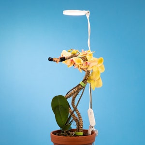 Likesuns led sales grow light