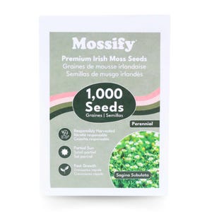 Irish Moss Seeds – Sagina Subulata | Bodembedekkende zaden met sterbloemen Dicht groen tapijt tussen rotsen, paden, gazons en meer Vaste plant