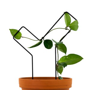 Check Mark Metal Trellis, Garden Decor Trellis, Trailing Support, Premium Indoor Garden Support, Trellis for Climbers, Modern Plant Support