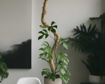Bendable Moss Pole™ with Stone Base – Flexible Plant Support for Monstera, Climbing & Tropical Houseplants