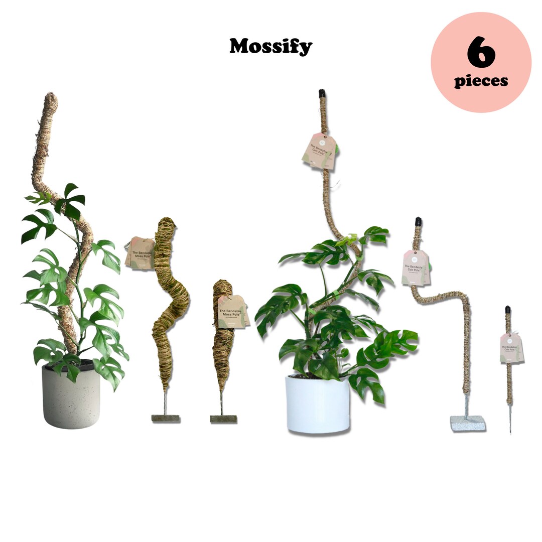6 Count Mossify Pole Lover Package Deal Best Seller Plant Support Hand