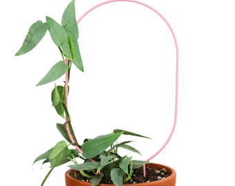 Metal Plant Trellis – 6 Styles & 3 Colors! Pink, White, Black – Indoor/Outdoor Powder-Coated Support for Vining and Climbing Plants