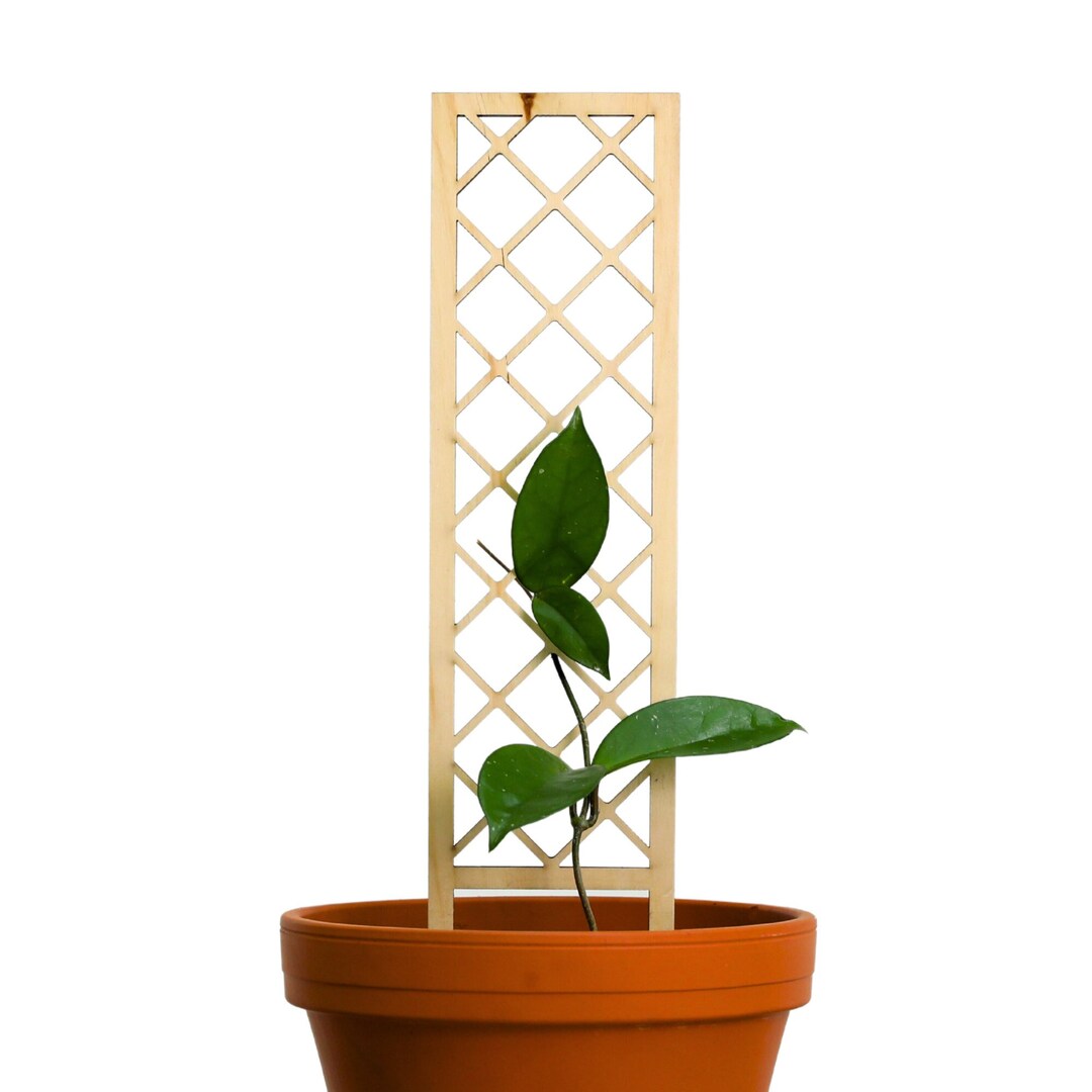 Crosshatch Wooden Trellis for Climbing Plants Best Seller Plant