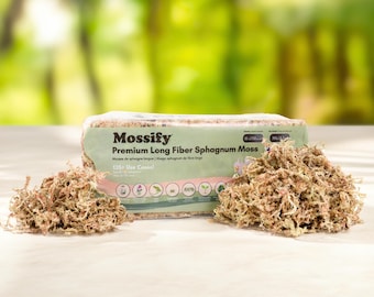 Langfaseriges chilenisches Sphagnum-Moos | Orchideen, Reptilien & Terrarien-Substrat