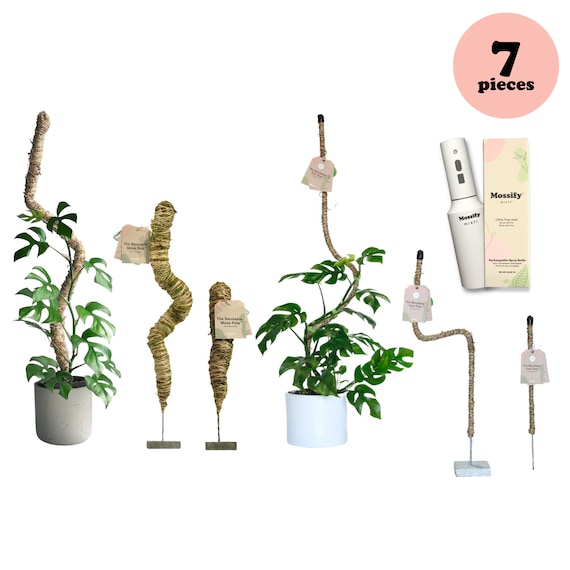 Floral Pins Greening Pins Moss Pole Pins Hold Your Plants up Zero Plastic  Product Bulk Pins 