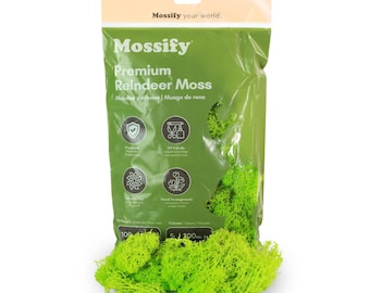 Preserved Reindeer Moss – DIY Floral, Terrarium, and Plant Decor