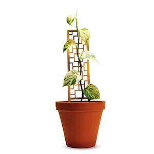 Tropical Squares Wooden Trellis, Indoor Garden Trellis, Trailing Support, Elegant Hoya & Ivy Trellis, Handmade Wood Trellis, Trellis for Pot