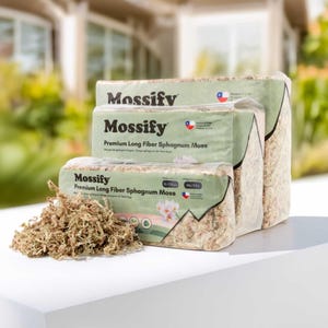 Puede incluir: Tres paquetes de musgo esfagno de fibra larga premium de la marca "Mossify", con un montón de musgo suelto delante. El embalaje es de color verde claro y blanco, con el nombre de la marca en verde oscuro. El musgo es de color marrón claro.