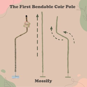 The Original Bendable Coir Pole™ For Climbing Plants Best Seller Plant Trellis Trailing Plant Support Manila Coir Pole image 3