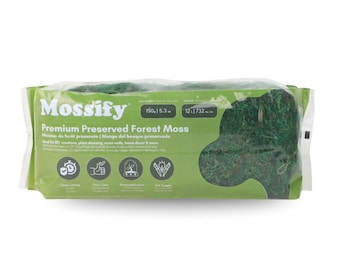 Preserved Forest Moss - Long-Lasting Green Decor