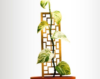Modern Wooden Trellis for Indoor Climbing Plants – Minimalist Design Support for Vines & Houseplants – Multiple Styles Available Plant Stake